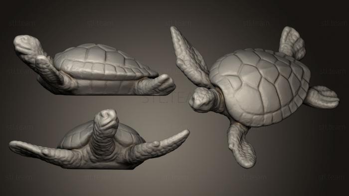 3D model Turtle Ornament 2 (STL)